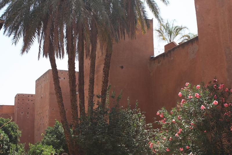 360-Marrakech,5 agosto 2010.JPG